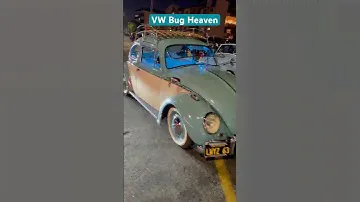 1963 VW Bugs 🚙 #vw #vwbug #volkswagon #classiccars #vintagecars #carshorts #cars