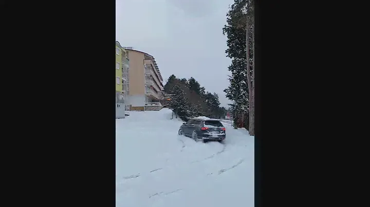 Volkswagen Passat B8 4Motion /Snow ❄️