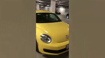 Volkswagen beetle || USA