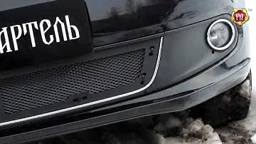 Защитная сетка решётки переднего бампера (Highline) Volkswagen Polo V (russ-artel.ru)