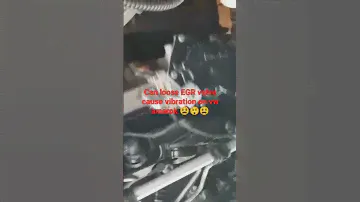 loose EGR valve cause vibration on VW Amarok is it possible!!!
