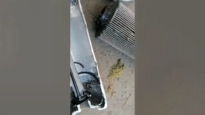 топливный фильтр для Т6. 1 2020г.в.