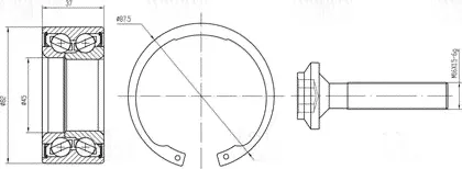 Ступичный подшипник (комплект) Trialli передний для Volkswagen Passat B5 1996-2005. Артикул CS 1872-0