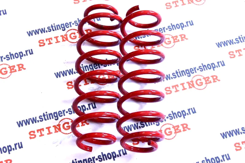 Пружины Технорессор Volkswagen Polo Mk5 / Skoda Rapid I (2012-2017 задние (-30)-1