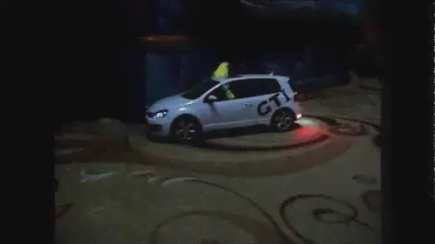 Попугай и Volkswagen Golf GTI (Rastar)