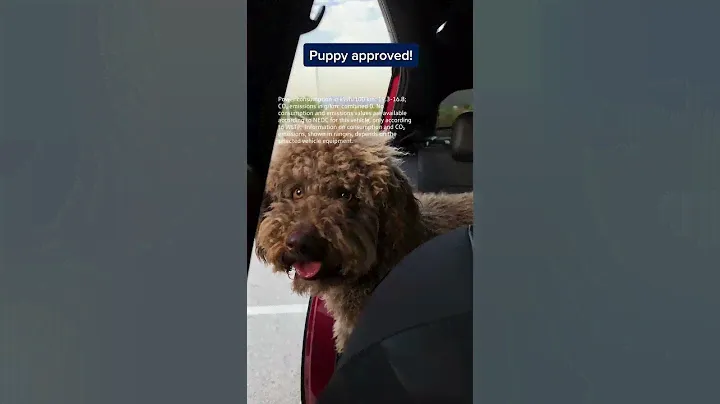 Puppy approved. 🐶 The vehicle displayed shows optional equipment.