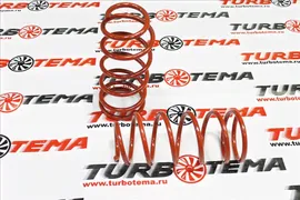 Пружины Технорессор Volkswagen Jetta Mk6 (2010-2015) задние (-30) (2 шт)