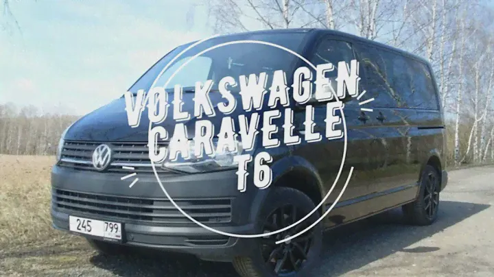 Volkswagen Caravelle T6. Демонтаж заднего стоп сигнала. (Как снять самому)