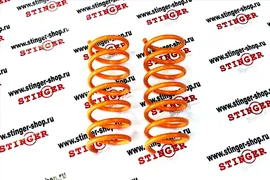 Пружины Технорессор Volkswagen Jetta Mk6 (2010-2015) задние (-50) (2 шт)