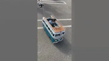 VW Bus fans come in all shapes, sizes and species