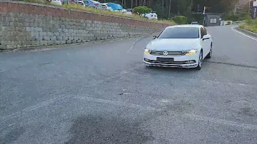 2018 Volkswagen Passat GT (B8) 2.0 TDI Prestige