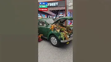 Volkswagen Beetle: Когда машина становится клумбой 🌸🚗