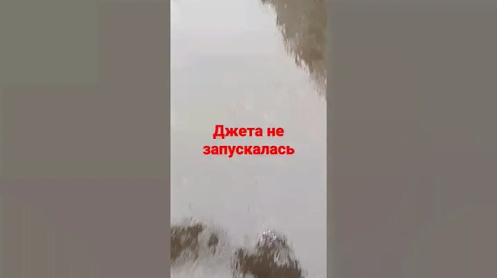 джета не запускается #автоэлектрик # стартер