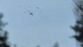 Volkswagen Polo 2012 года выпуска