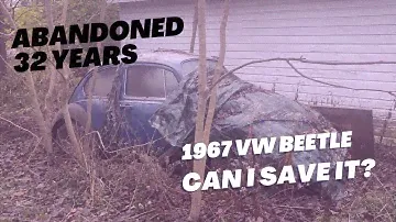 Abandoned 1967 Volkswagen Beetle