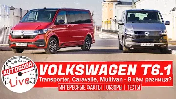 Volkswagen Т6.1 рестайлинг. VW Transporter, VW Caravelle, VW Multivan в чём разница? Выпуск #14 ч.2