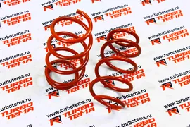 Пружины Технорессор Volkswagen Jetta Mk 6 (2010-2015) / Volkswagen Golf 6 передние (-30) (2 шт)