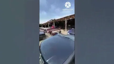 Авто запчасти