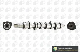 Распредвал BGA для Volkswagen Transporter T5 2006-2009. Артикул CS9503
