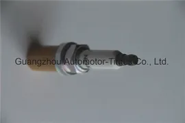 Авто запчасти автомобильный иридий с тремя контактами 101905621b для Volkswagen Audi