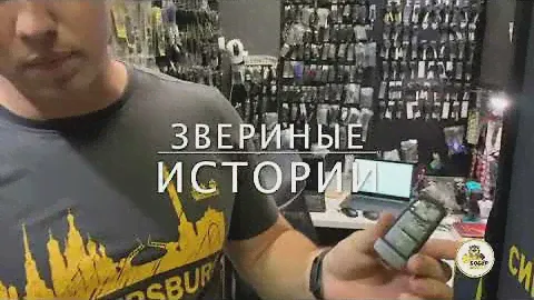 Пёс угнал ключ от тачки VW Passat B6