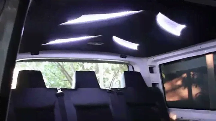 Салон Volkswagen T5 (Transporter) Потолок с подсветкой!