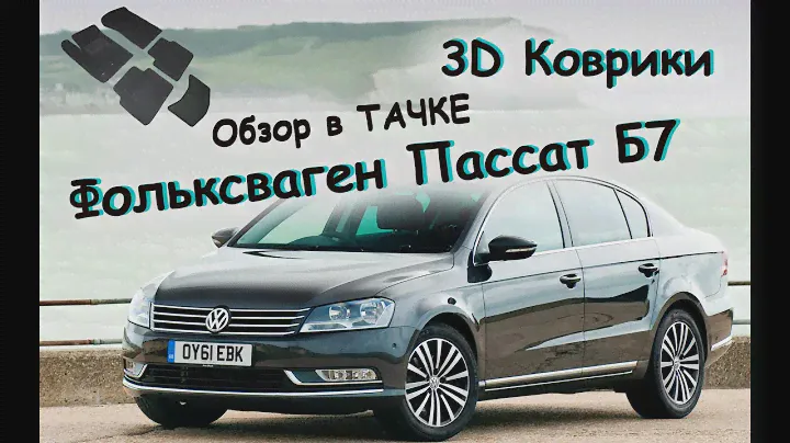 3D коврики в салон Volkswagen Passat B7 \ ОБЗОР В ТАЧКЕ