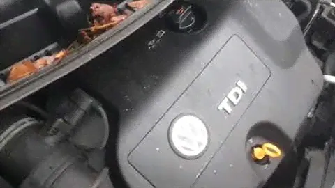 Двигатель VW для Sharan 2000-2004;Sharan 2004-2010