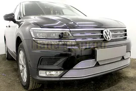Защита радиатора Volkswagen Tiguan II 2016- chrome низ (Off-Road) PREMIUM