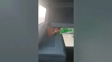 VW T4 Transporter. дом на колесах.
