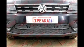 Защита радиатора "PREMIUM" VOLKSWAGEN TIGUAN II с 2016г.в. (Черный) - strelka11.ru