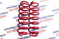 Пружины Технорессор Volkswagen Polo Mk5 / Skoda Rapid I (2012-2017 задние (-30)