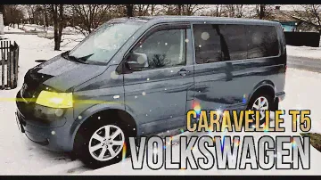 Volkswagen caravelle t5. Замена петли двери.