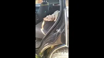 Ржавые пороги Volkswagen Touareg.  Проблемы с кузовом.