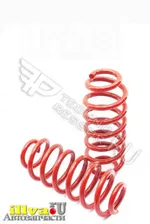 Задние пружины Volkswagen Jetta 5,6; Passat b6,b7 / Skoda Superb b6 -30мм 2шт 11603-30p
