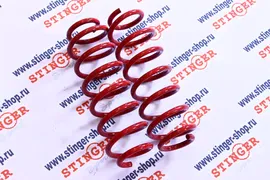 Пружины Технорессор Volkswagen Polo Mk5 / Skoda Rapid I (2012-2017 задние (-30)