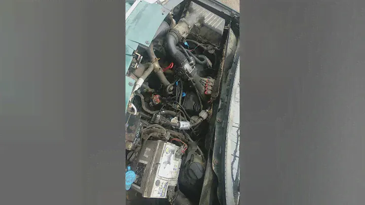 Не было холостого на Шаране