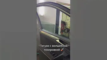 Tiguan. Двойные стекла . Автоматическая тонировка . Волга - Гласс . Inst - volga_glass . 89610840777